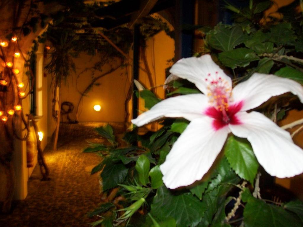 Villa Spyros Santorini Perissa  Bagian luar foto